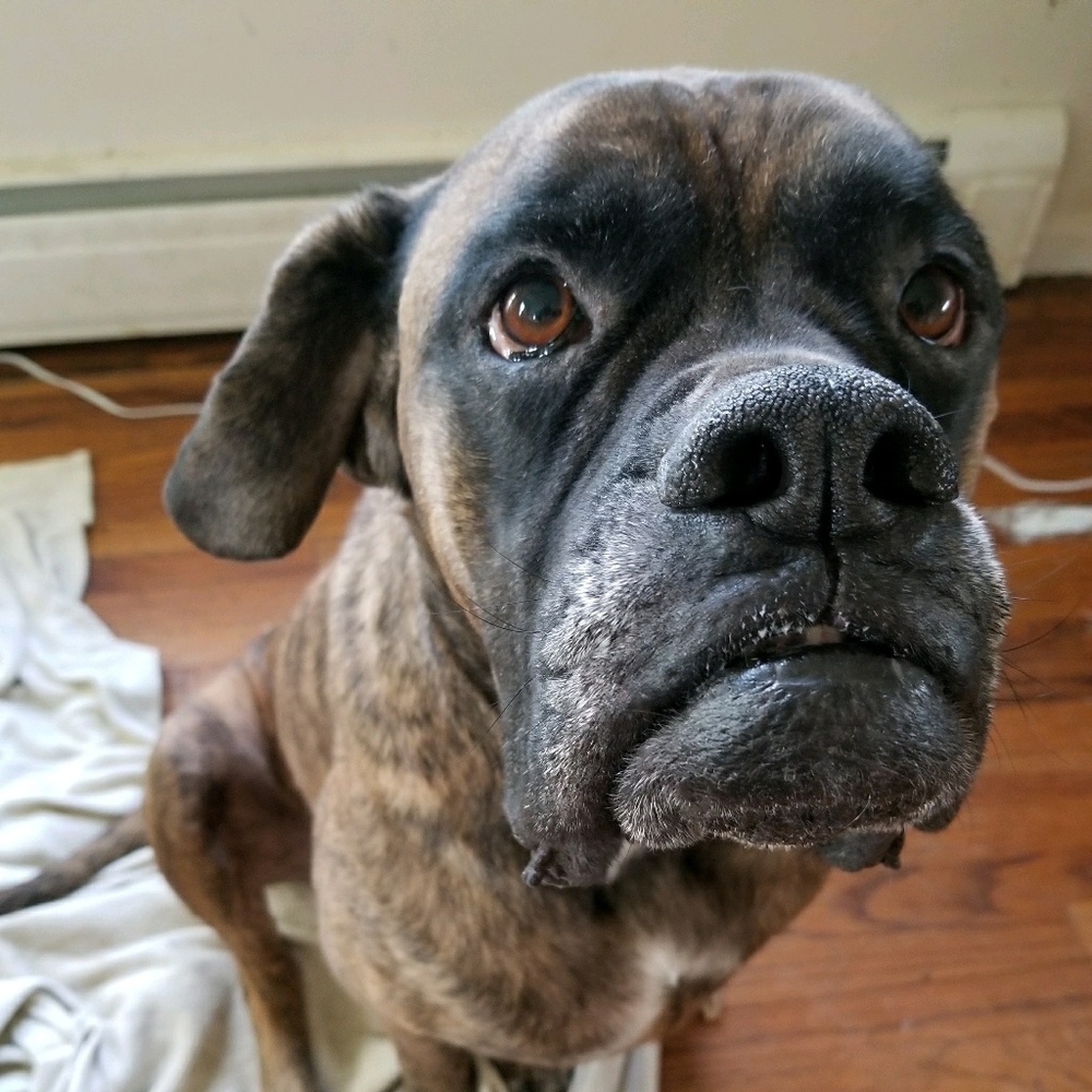 Meet your Posher, Savannah